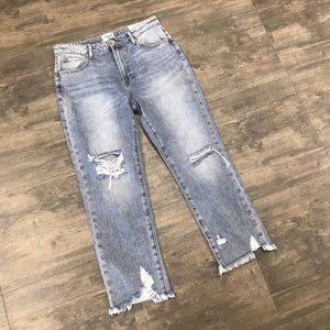 NWT Insane Oene‎ Jeans Womens 11/29w Hi-Waisted Straight Destroyed Cut Ankle $57